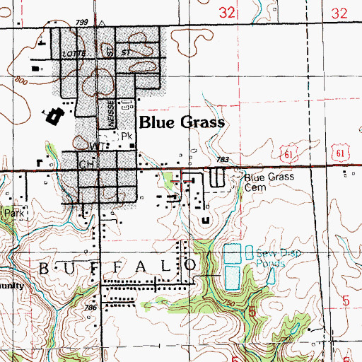 Topographic Map of Blue Grass Post Office, IA