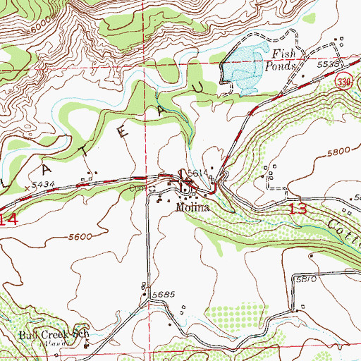 Topographic Map of Molina, CO