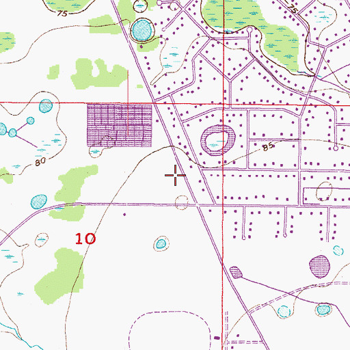 Topographic Map of Summerfield Elementary School, FL
