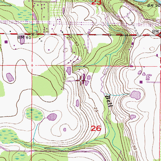 Topographic Map of Boyette Springs Elementary School, FL