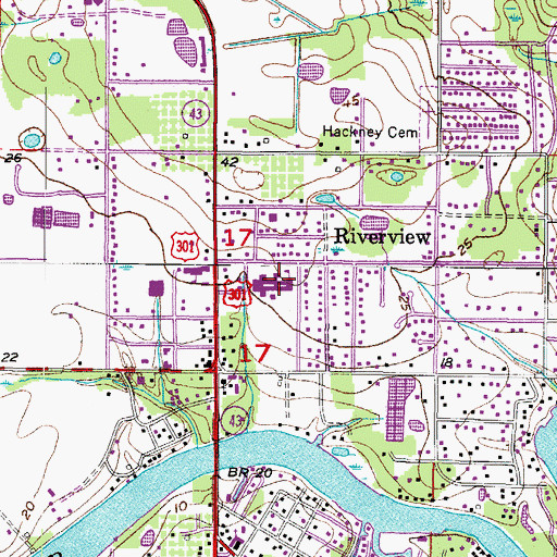 Topographic Map of Riverview Elementary School, FL