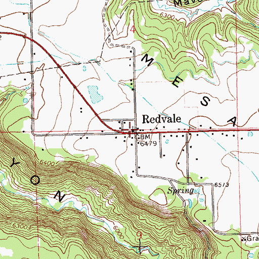 Topographic Map of Redvale, CO