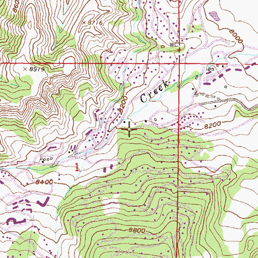Topographic Map of Snowmass Village, CO