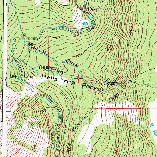 Topographic Map of Mosquito Creek, CO