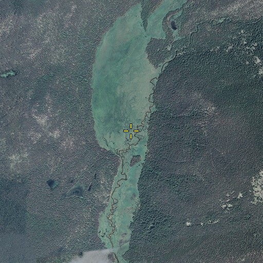 Aerial/Satellite Image of Big Meadows, CO