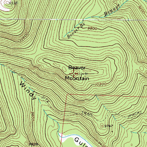 Topographic Map of Beaver Mountain, CO
