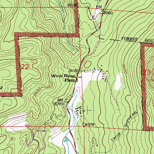 Topographic Map of Wind River Pass, CO