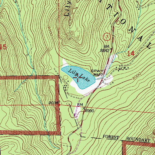 Topographic Map of Lily Lake, CO