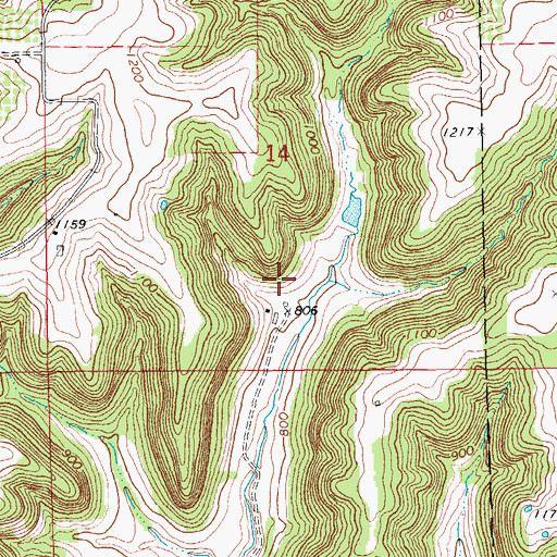 Topographic Map of Ruff Family Cemetery, MN