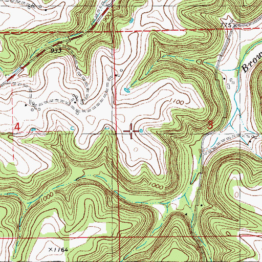 Topographic Map of Neumann Family Cemetery, MN