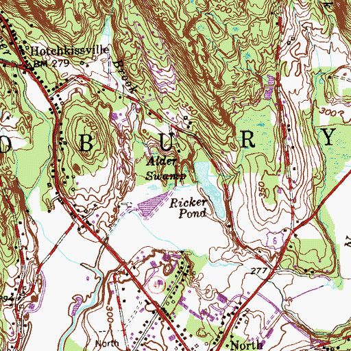 Topographic Map of Alder Swamp, CT