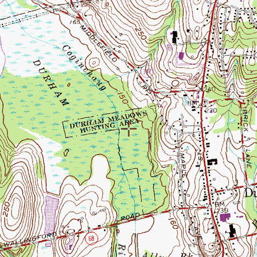 Topographic Map of Allyn Brook, CT