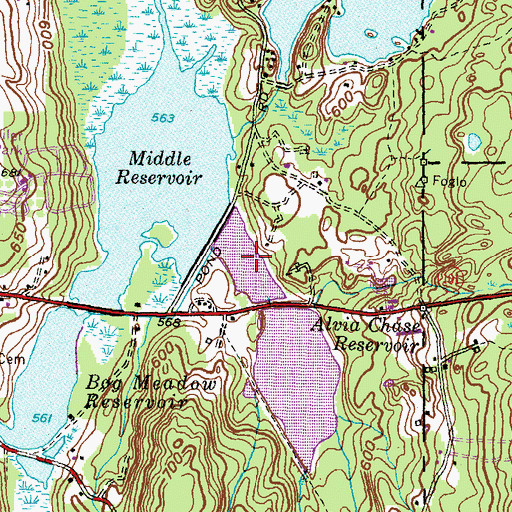 Topographic Map of Alvia Chase Reservoir, CT