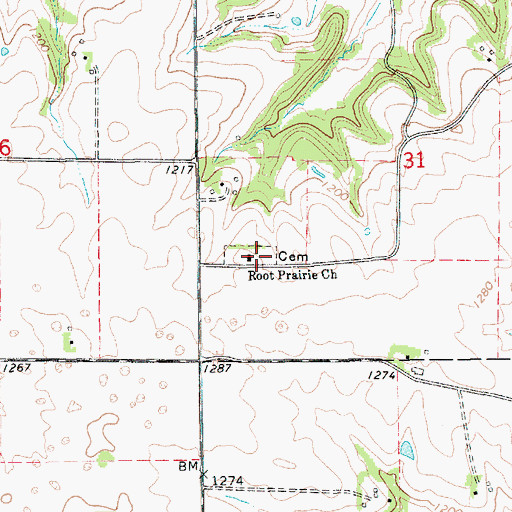 Topographic Map of Root Prairie Lutheran Cemetery, MN