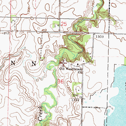 Topographic Map of Old Westbrook Cemetery, MN