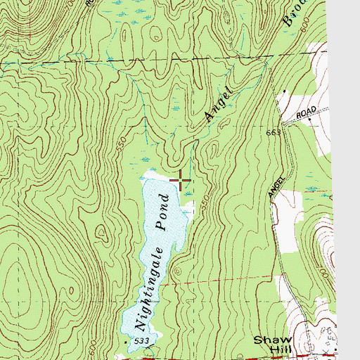 Topographic Map of Angel Brook, CT