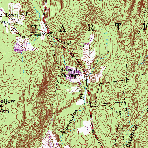 Topographic Map of Atwood Swamp, CT