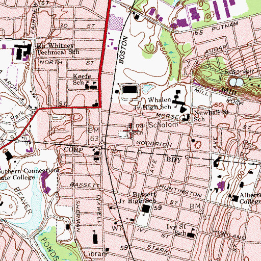 Topographic Map of B'nail Scholom Cemetery, CT