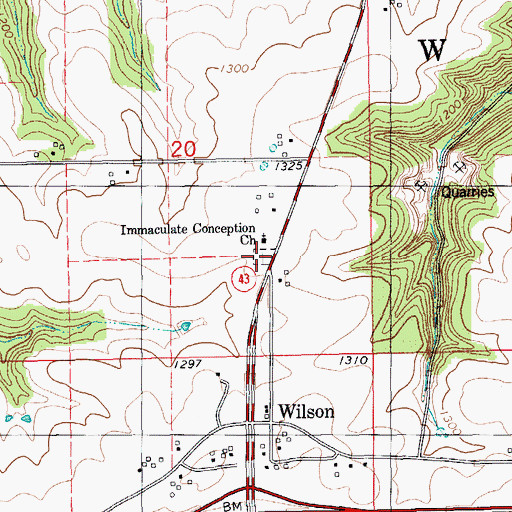 Topographic Map of Immaculate Conception Cemetery, MN