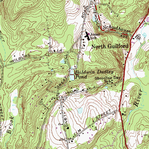 Topographic Map of Baldwin Dudley Pond, CT