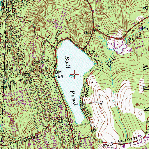 Topographic Map of Ball Pond, CT