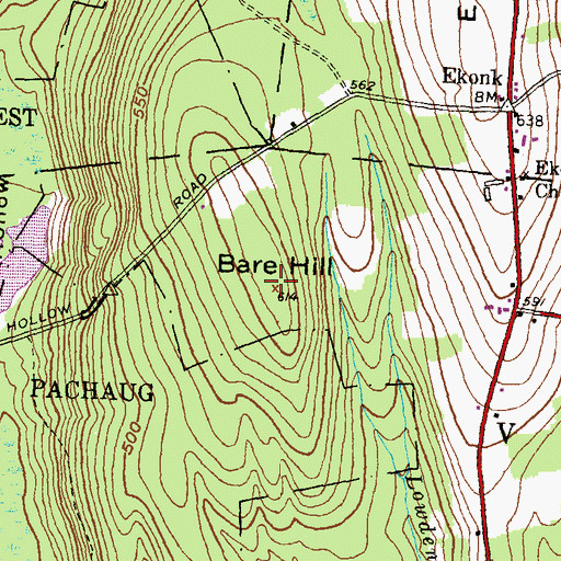 Topographic Map of Bare Hill, CT