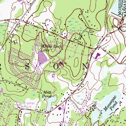 Topographic Map of White Rock Elementary School, NJ
