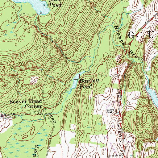 Topographic Map of Bartlett Pond, CT