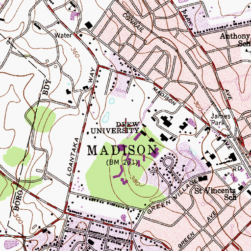 Topographic Map of Young Field, NJ