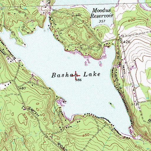 Topographic Map of Bashan Lake, CT