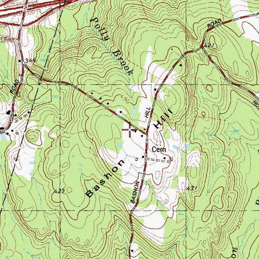 Topographic Map of Bashon Hill, CT