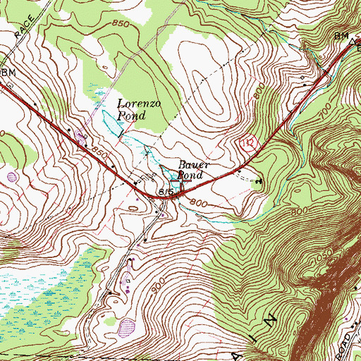 Topographic Map of Bauer Pond, CT