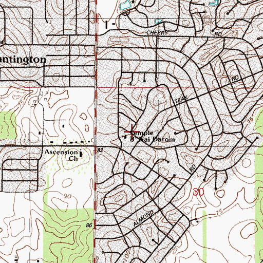 Topographic Map of Temple B'Nai Darom, FL