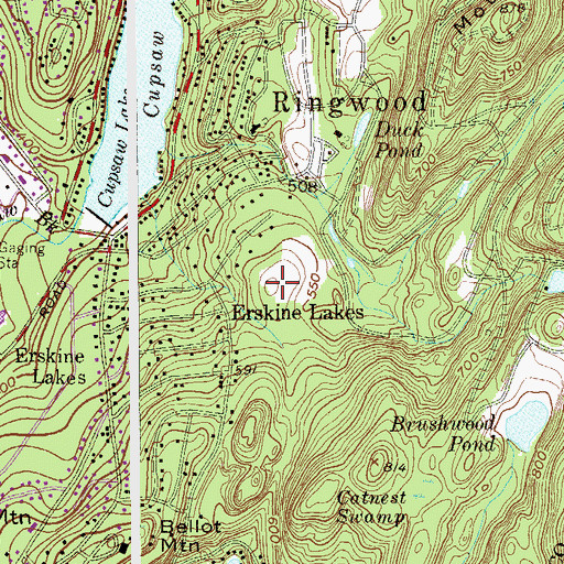 Topographic Map of Martin J Ryerson Middle School, NJ