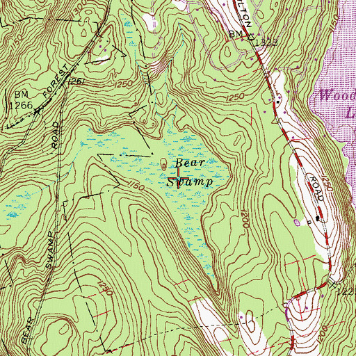 Topographic Map of Bear Swamp, CT
