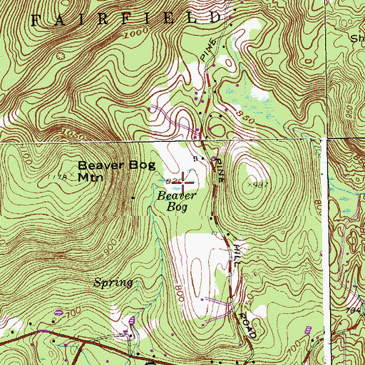 Topographic Map of Beaver Bog, CT