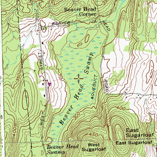 Topographic Map of Beaver Head Swamp, CT