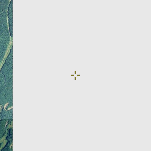 Aerial/Satellite Image of Beaver Pond, CT