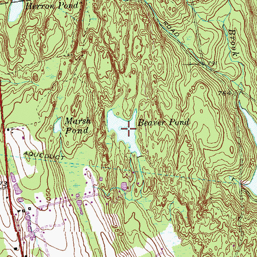Topographic Map of Beaver Pond, CT