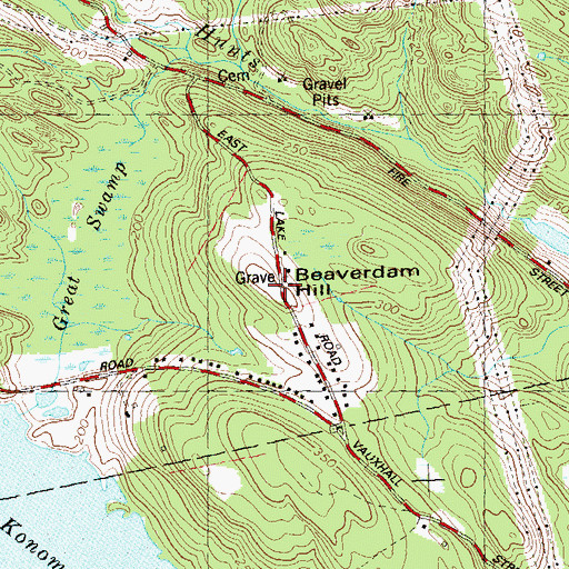 Topographic Map of Beaverdam Hill, CT
