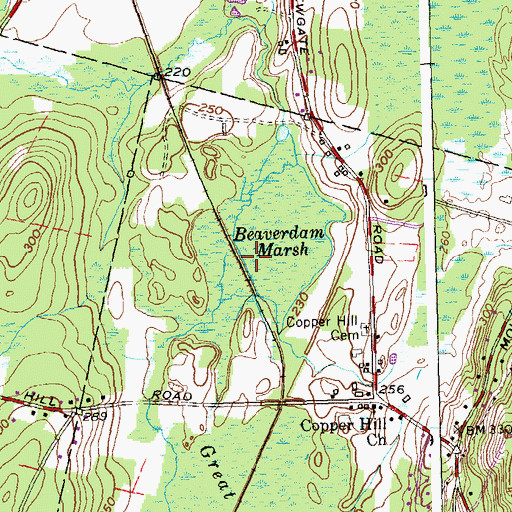 Topographic Map of Beaverdam Marsh, CT