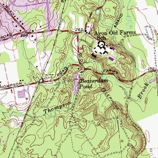 Topographic Map of Beaverdam Pond, CT