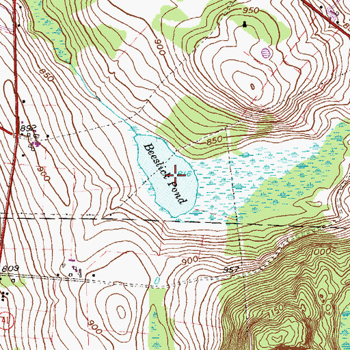 Topographic Map of Beeslick Pond, CT