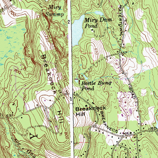Topographic Map of Beetle Bung Pond, CT