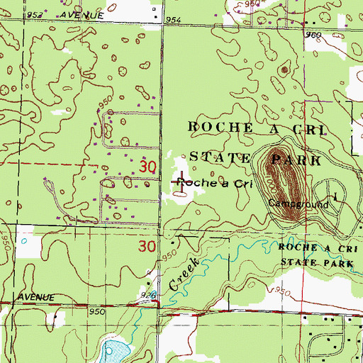 Topographic Map of Roche-A-Cri Woods State Natural Area, WI
