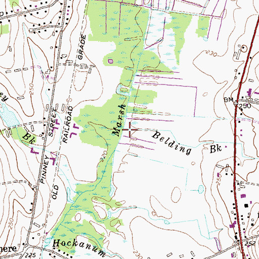 Topographic Map of Belding Brook, CT