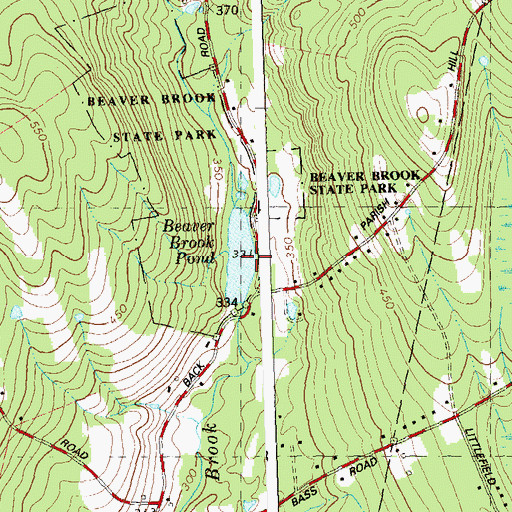 Topographic Map of Bibbins Pond, CT