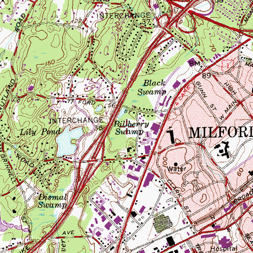 Topographic Map of Billberry Swamp, CT
