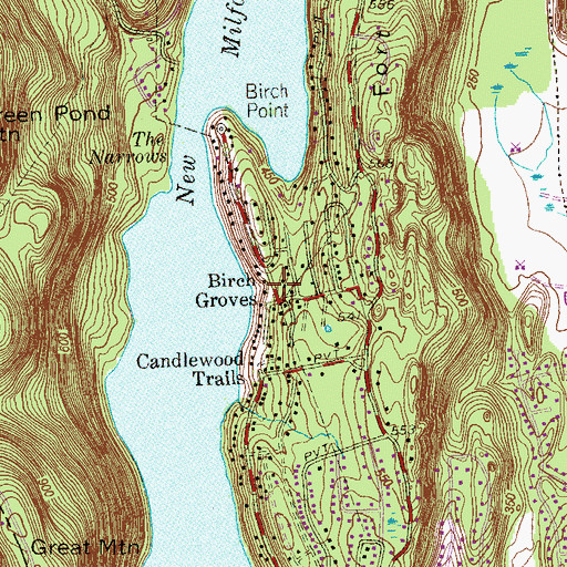 Topographic Map of Birch Groves, CT