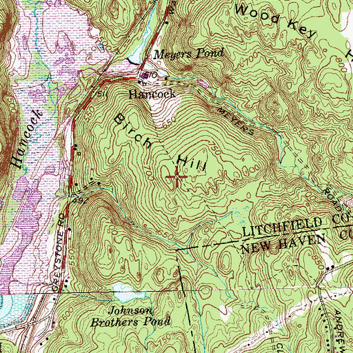 Topographic Map of Birch Hill, CT